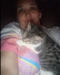 Heeler dog Miss Harley keeping other dogs in line