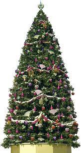Christmas Tree Png Image Christmas Tree Christmas Merry Christmas