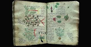 Major Works On Herbal Medicine From A Thousand Years Ago 1001 Inventions