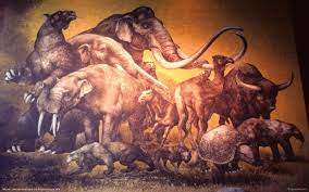 Pleistocene Megafauna Megafauna Mammals Australian Mammals