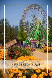 Pin On Grass Valley Things To Do