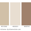 Each color scheme contains the html color codes you will need when coding your website the combo library provides a convenient way to search beige color schemes. 1