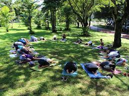 There are a number of big corporations nearby like ibm, deloitte and (hidden by coliving.com) neighbourhood is 15 mins. Ttdi Park Things To Do In Ttdi Kuala Lumpur