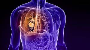 If you have possible signs or symptoms of lung cancer, see your doctor. New Biomarkers For Diagnosis And Prognosis Of Lung Cancer Technology Networks