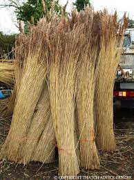 Are thatched roofs expensive to install or replace? Water Reed Thatch Advice Centre