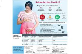 Perkembangan janin usia 2 bulan sangatlah penting untuk dikethui agar anda dapat menjaga perkembangan optimal calon buah hati anda. Fakta Covid 19 Pada Ibu Hamil