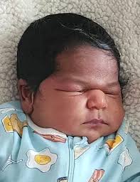 Obituary information for Terrance Michael Beverly