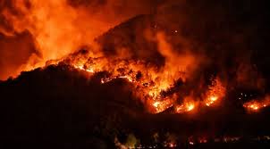 Jul 28, 2021 · yeniköy mahallesi yakınlarındaki ormanlık alanda, saat 12.00 sıralarında çıkan orman yangını rüzgarın da etkisiyle kısa sürede yayıldı. 2020 De Yanginlarda Zarar Goren Orman Alani 2019 U Gecti Son Dakika Haberleri