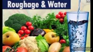 The process is detailed by paul mcneil, ph.d., and katsuya miyake, ph.d., in the early online issue of public… read more. Class 6 Science Chapter 2 Roughage And Water Youtube