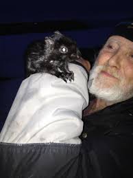 jesse noll (@jessvmj)