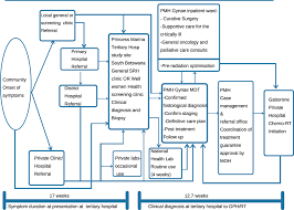 Doctors remove cancer tissue in an operation. Timelines To Cervical Cancer Diagnosis And Treatment Ijwh