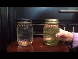Glycerin Vs Baby Oil Youtube