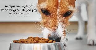 Image result for foto granulí