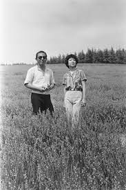 4ページ目)「裸になろうが、ソープ嬢を演じようが…」元祖・お嫁さんにしたい女優、竹下景子70歳が持つ「等身大の魅力」 | 文春オンライン