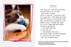 Kitten Excerpt From I Could Pee On This And Other Poems By Cats Cats Cat Quotes Cat Poems