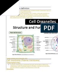 Maybe you would like to learn more about one of these? Cell Organelles Definition Endoplasmic Reticulum Cell Nucleus