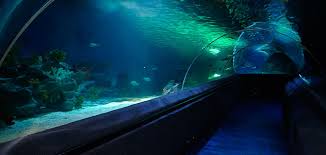 Sea Life Istanbul Indirimli Giris Bileti Istanbul Akvaryum Firsatlari