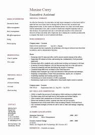 Skill Levels For Resume Elegant Executive Assistant Resume Example Sample Job Description Resume Skills Good Resume Examples Job Resume Samples