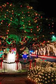 The 1 Million Lights In Downtown Forest City North Carolina With Events Carriage Rides An Holiday Lights Decorating With Christmas Lights Southern Christmas