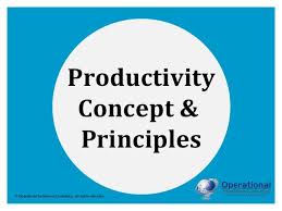 What Is Productivity By Operational Excellence Consulting Operational Excellence Supply Chain Solutions Thinking Strategies