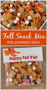 Fall Snack Mix Treat Bags Fall Snack Mixes Fall Snacks Kids Snacks