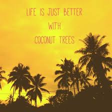 By describing the landscape as the palm of a human hand, kingsolver personifies the mountains and city. Tanks Kinis Tree Quotes Instagram Captions Tree