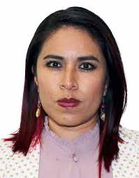 Plantilla de Integrantes de comision LXIV