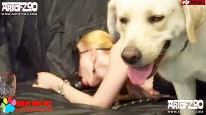 Eggplant and dog sex - Bestiality movies - Bestialzoo