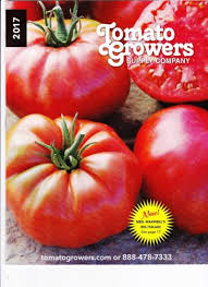 Raised beds, pots and planters, supports, soils and more. College Of Agriculture Food And Natural Resources Master Gardener S Big Italian Tomato Goes National