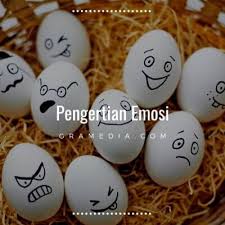 Pengertian Emosi Macam Macam Emosi Emosi Positif Negatif