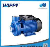 Single-Stage Vortex Centrifugal Electric Water Pump (DK)