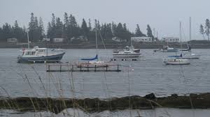 Katrina law nackt Sister in law Katrina jesma 7 min.