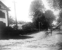 Calzada La Quinta A Izquierda La Quinta Ruiz Hoy Parque Nacional En 2020 Parques Nacionales Parques Uruapan