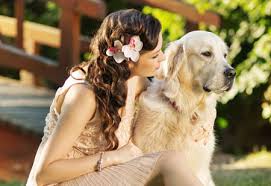 Using prednisone for dog lymphoma too soon happens all the time, so don't beat yourself up if why is this important? Canine Lymphoma Prednisone Canine Lymphoma