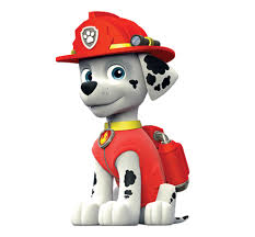 Paw Patrol Birthday