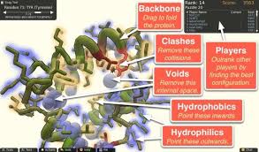 Image result for foldit game screenshots