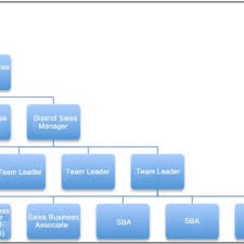 Direct Marketing Organizational Chart Example From Bihar