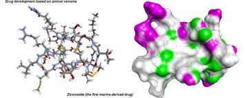 Harnessing the knowledge of animal toxins to generate drugs