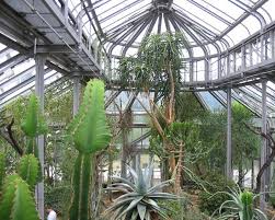 Er gehört zur freien universität berlin und hat den status einer fakultätsunabhängigen zentraleinrichtung. Berlin Botanischer Garten Gardensonline