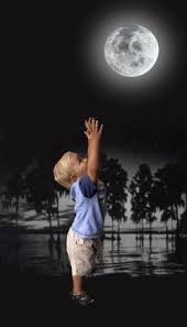 Giphy is how you search, share, discover, and create gifs. Full Moon Moonlight Gif Fullmoon Moonlight Discover Share Gifs Good Night Moon Moon Photography Moon