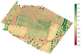 Vigor (russia) map, weather and photos. Vigor Map Of The Vineyard Using Ndvi Download Scientific Diagram