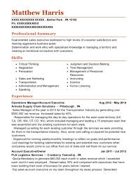 professional baseball player resumes
