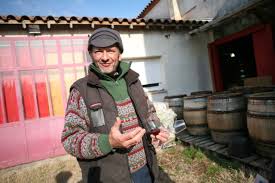 Le marché a la cote ! Wine Tasting Vineyards In France