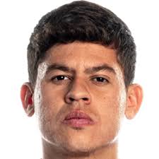 Your feedback is important for this matter. Manuel Ugarte Fm 2021 Profile Reviews