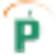 Pay 'n Time logo