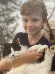 Boy, 11, rescues cat in tree that was too high for fire brigade