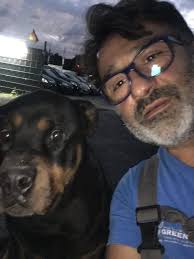 cemil kilic on twitter kopek kur an a gore mubarek bir hayvandir ashab i kehf in kopegi kitmir bunun ornegidir kitmir bazi dinsel kaynaklarda cennetlik addedilir ama obur taraftan kopek giren eve melek girmez diyen bir