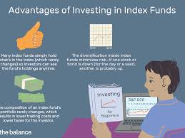 The fund managers attempt to replicate the performance of the s&p 500, with the major difference being the fund's low expense ratio. Investing In Index Funds For Beginners