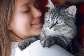It dates back to 2002 when it began as a way to raise more awareness about homeless cats. The British Shop Blog Hug Your Cat Day Heute Ist Der Tag Zum Katzenknuddeln