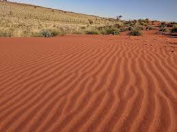 Honorary Life Fellow Award